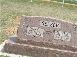 Roy M Selzer Roy M Selzer
