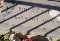 Roy N. Castillo
