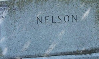 Roy Nelson Roy Nelson