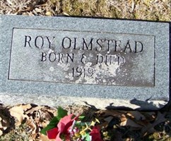 Roy Olmstead