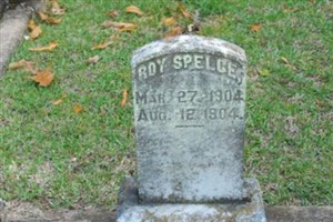 Roy Spelce Roy Spelce