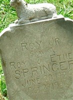 Roy Springer, Jr Roy Springer, Jr