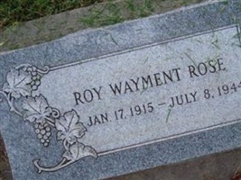 Roy Wayment Rose Roy Wayment Rose