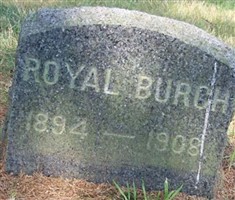 Royal Burch
