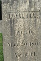 Royal Dow Royal Dow