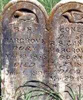 R. S. Hargrove