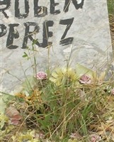 Ruben Perez