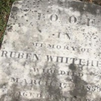Ruben Whitehead