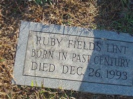 Ruby Fields Lint Ruby Fields Lint