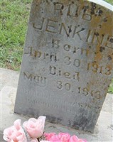 Ruby Jenkins Ruby Jenkins