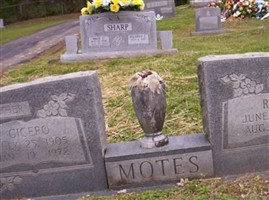 Ruby Motes Ruby Motes