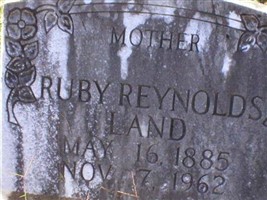 Ruby Reynolds Land (2058116.jpg) Ruby Reynolds Land (2058116.jpg)