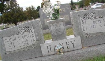 Ruby S Haney Ruby S Haney