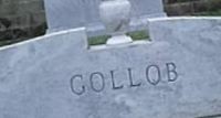 Rubye Cohen Gollob Rubye Cohen Gollob