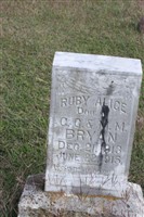Rudy Alice Bryan
