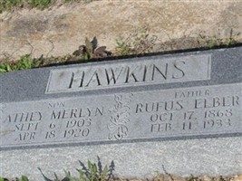 Rufus Elbert Hawkins