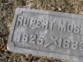 Rupert Moser Rupert Moser