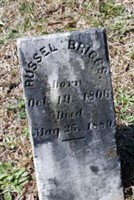 Russel Briggs