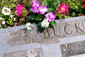 Russell J Buck