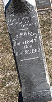 Russell Reno Maples