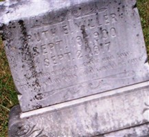 Ruth E Miller