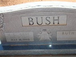 Ruth E Webb Bush Ruth E Webb Bush