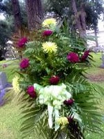 Ruth R. Webb Ruth R. Webb