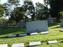 Ruth Scholl Wilcox Ruth Scholl Wilcox