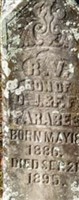 R. V. Farabee
