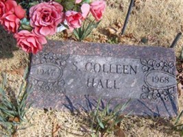 S. Colleen Hall S. Colleen Hall