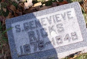 S. Genevieve Ricks S. Genevieve Ricks
