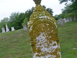 S Lee Lyman