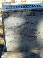 S A Goodwin