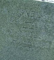 S. A. Snelson S. A. Snelson