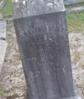 Sabastian Albert Allis Sabastian Albert Allis