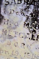 Sabra H Metcalfe Sabra H Metcalfe