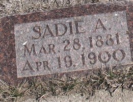 Sadie A VanVleet Sadie A VanVleet