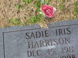 Sadie Iris Harrison