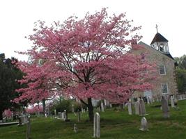 Saint James' Episcopal Church Cemetery