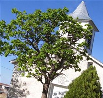 Saint Helen Cemetery