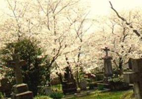 Sakamoto International Cemetery