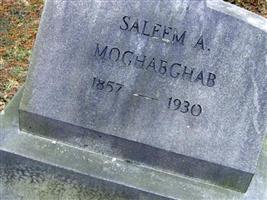 Saleem A. Moghabghab
