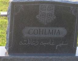 Saleem F Cohlmia