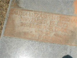 Salina Elizabeth Gresham Golson