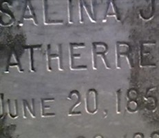 Salina Judson McDowell Fatherree Salina Judson McDowell Fatherree