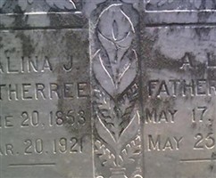 Salina Judson McDowell Fatherree Salina Judson McDowell Fatherree