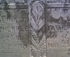 Salina Judson McDowell Fatherree