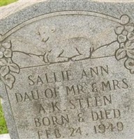 Sallie Ann Steen