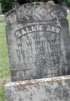 Sallie Ann Womack Adams