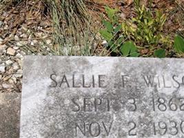 Sallie Baldwin Wilson